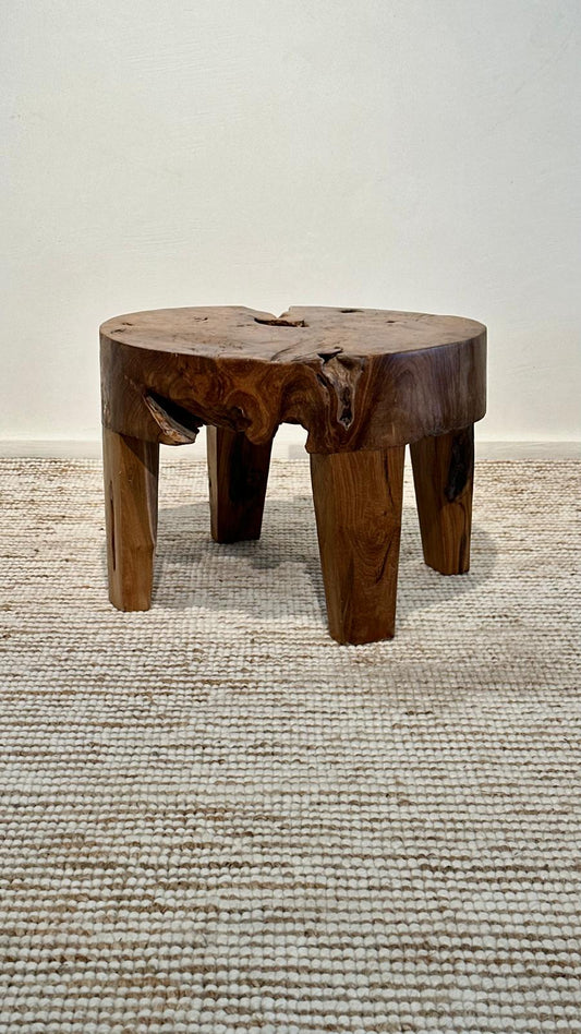 Ibuki Finds unique low coffeetable