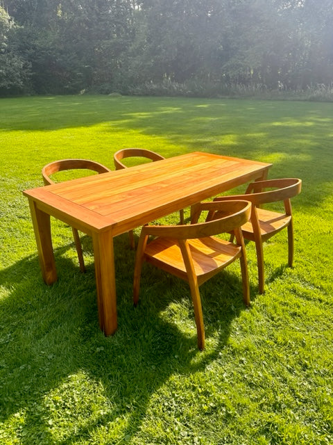 Rojii dining chair in warm teak